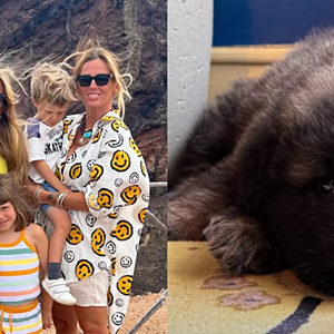 Madalena Abecasis apresenta “mais um filho, Carlos”. Conheça o novo membro (peludo) da família