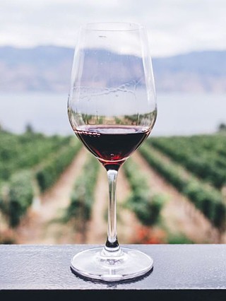 Se comer filetes no Monte Mar, os peixes mexem-se no prato. Calma, nós explicamos