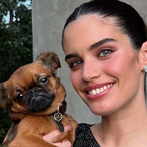 Cão de Sara Sampaio desapareceu. “Ainda não perdi a esperança”, que oferece uma recompensa